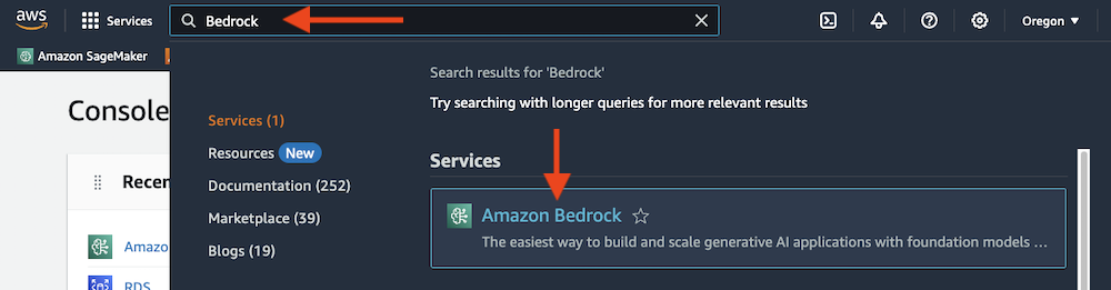 Amazon Bedrock Search